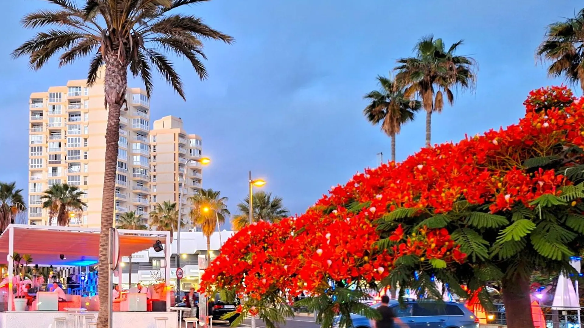 Apartment Las Americas Ocean Panorama Arona